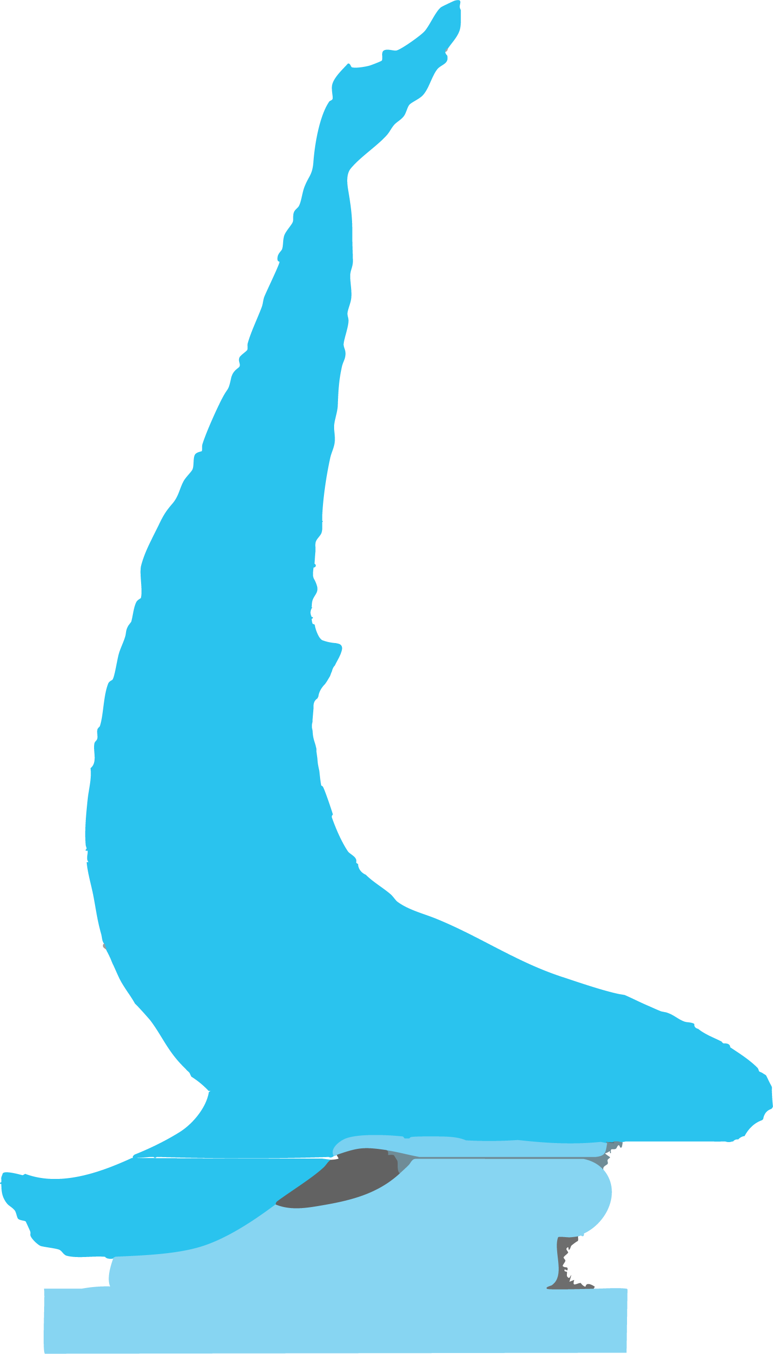 3D Whale